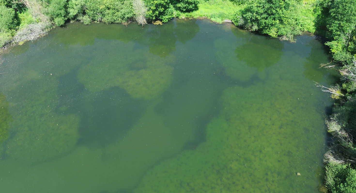 Secret Lake Overhead
